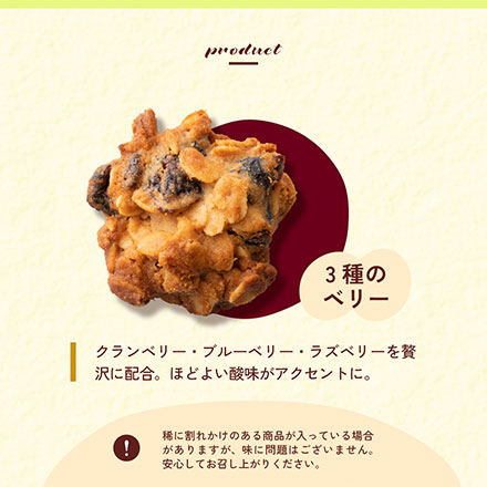 オートミールクッキー(3種のベリー) 【1kg(100g×10袋)】※割れ欠けあり