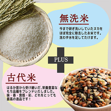 無洗米雑穀 古代米 4種ブレンド ( 赤米 / 黒米 / 緑米 / 発芽玄米 ) 9kg ( 450g×20袋 )