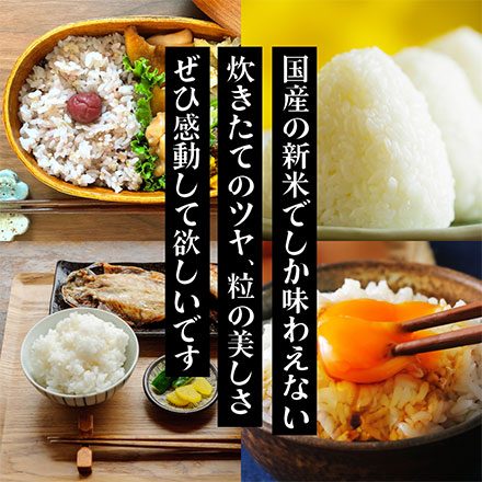 新米 三重県産 コシヒカリ 10kg ( 5kg×2 ) 令和7年産
