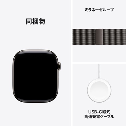 Apple Watch Series 10（GPS + Cellularモデル）- 46mmスレートチタニウムケースとスレートミラネーゼループ - S/M with AppleCare+