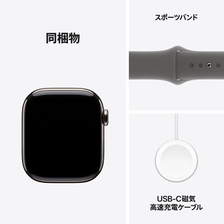 Apple Watch Series 10（GPS + Cellularモデル）- 42mmナチュラルチタニウムケースとストーングレイスポーツバンド - S/M with AppleCare+