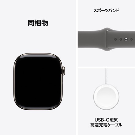 Apple Watch Series 10（GPS + Cellularモデル）- 46mmナチュラルチタニウムケースとストーングレイスポーツバンド - S/M with AppleCare+