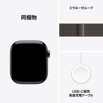 Apple Watch Series 10（GPS + Cellularモデル）- 42mmスレートチタニウムケースとスレートミラネーゼループ with AppleCare+