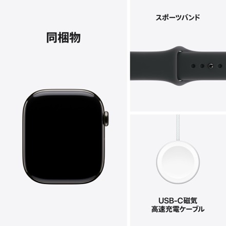 Apple Watch Series 11（GPS + Cellularモデル）- 42mmスレートチタニウムケースとブラックスポーツバンド - S/M