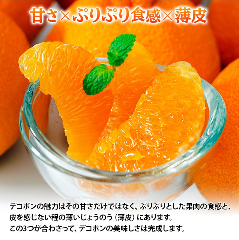 ご自宅用 デコポン 熊本県産 無印 約5kg（18-24玉） 産地箱 ※常温