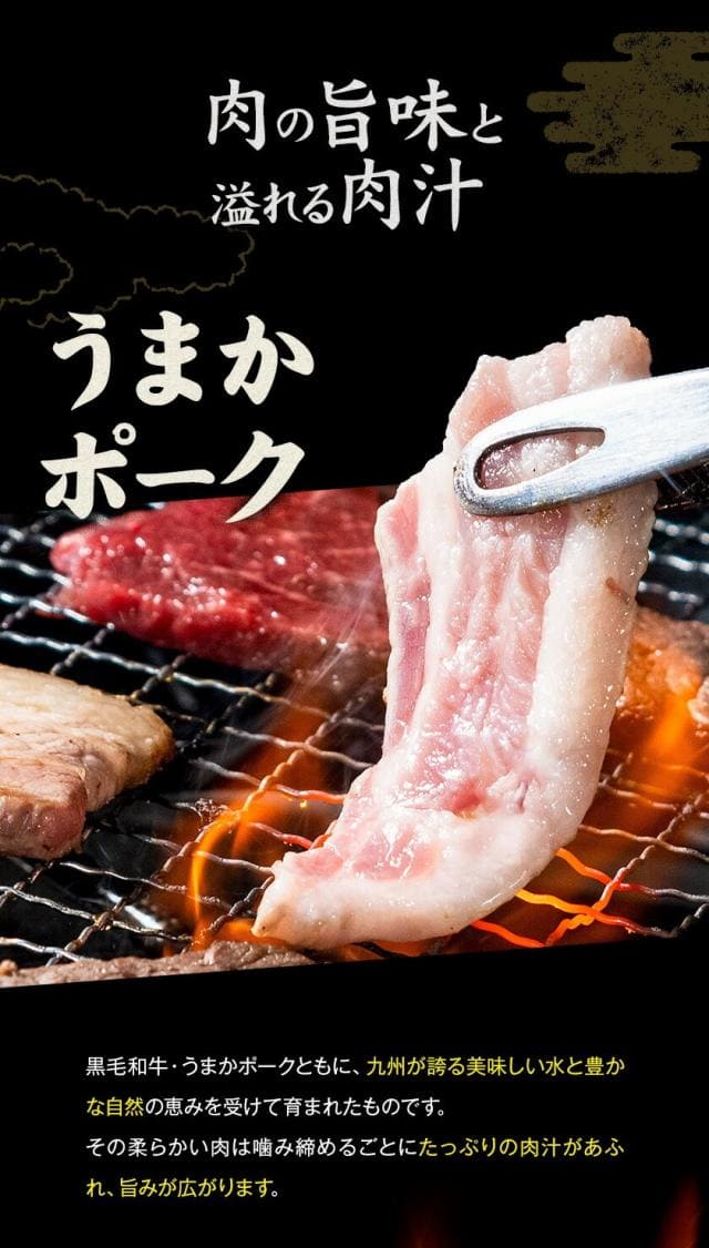  焼肉食べ比べセット 黒毛和牛 豚肉 500g 焼肉セット BBQ 国産 九州産 焼肉 肉 お肉 ウデ モモ 赤身 うまかポーク バラ肉【7-14営業日以内に発送予定（土日祝除く）】