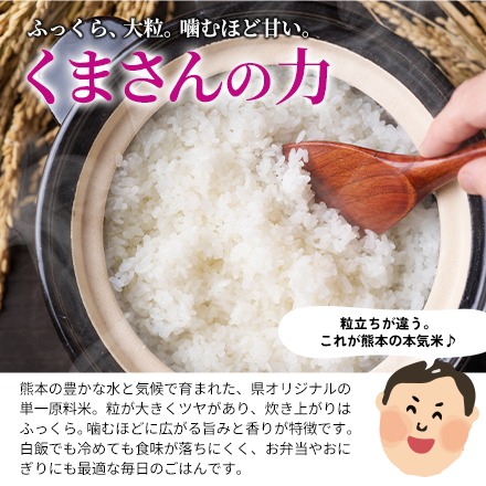 オープン記念特別価格!【 熊本県産 くまさんの力 白米5kg 】 速攻出荷 令和7年産