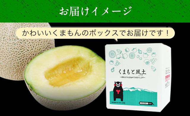 ギフト マスクメロン 九州産 メロン 【一番人気の3Lサイズ】大玉 1玉 約1.5kg以上 熨斗 ご贈答 フルーツ ギフト メロン 高級 のし 《7-14営業日以内に発送予（土日祝除く）（》