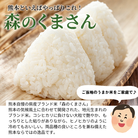 【 熊本県産 森のくまさん 無洗米 20g 】 速攻出荷 令和7年産