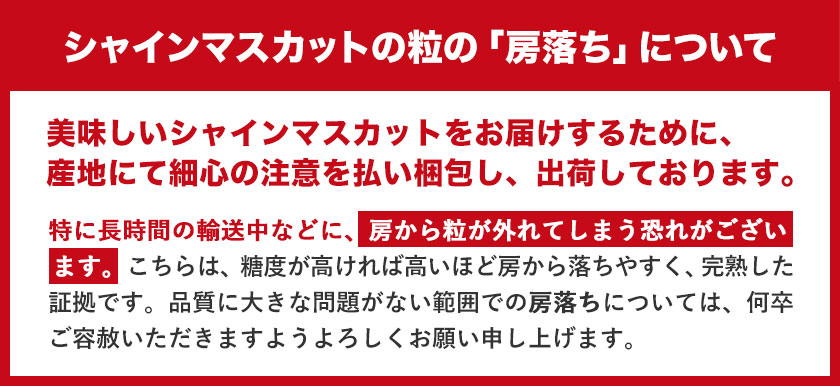 【予約販売】岡山県産 晴王 シャインマスカット 約2.0kg 3房 種なし 皮ごと食べられる 9月上旬-9月下旬頃出荷