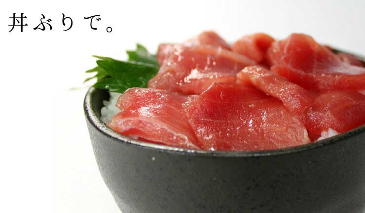 本マグロ 極上中トロ 1kg 解凍レシピ付 1サクずつ真空包装 [本鮪中トロセット1kg]