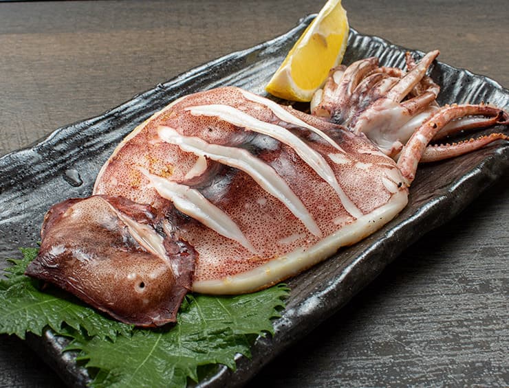 訳あり 国産 スルメイカ一夜干し 800g (4～8枚入) 小さめ サイズ不揃い 破れ スミや腑によるシミあり[[訳ありいか一夜干し]超速（ちょうそく）発送 1-3営業日以内に発送予定 土日祝除く