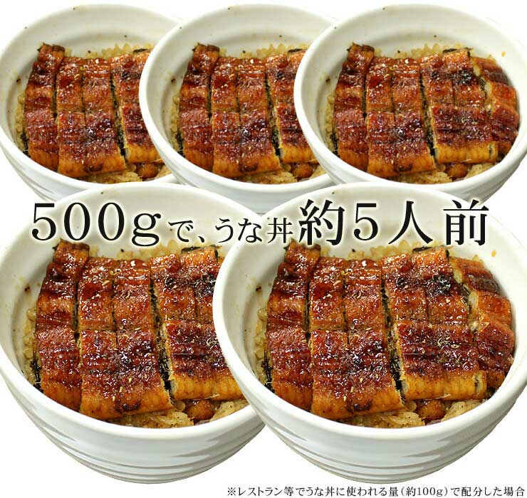 訳あり 国産 うなぎ 長蒲焼き 500g 身が崩れたりサイズが不均一の訳あり品 [訳ありウナギ蒲焼き500g]