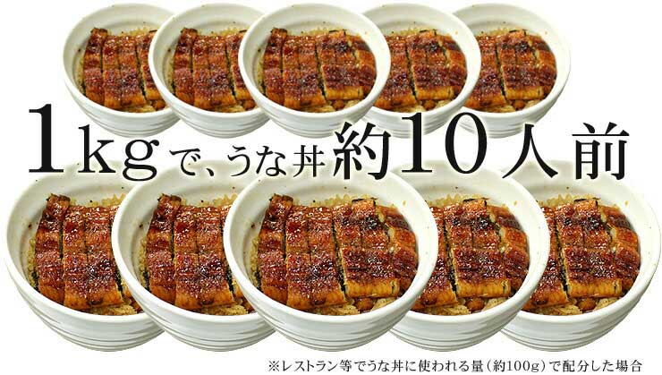 訳あり 国産 うなぎ 長蒲焼き 1kg 身が崩れたりサイズが不均一の訳あり品 [訳ありウナギ蒲焼き500g-2p]