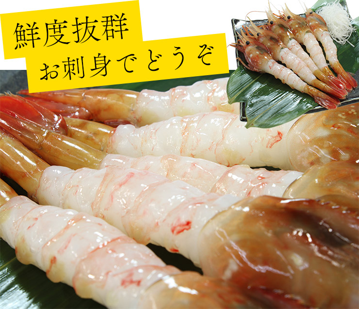 お刺身用 ボタンエビ 1kg 20～32尾 [ぼたんエビ500g-2p]