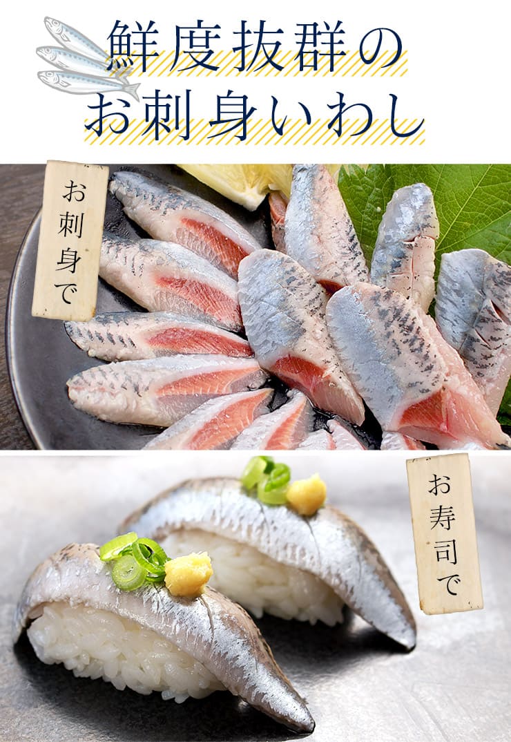 北海道産 お刺身 いわし 6パック (1パック：半身20枚入） [お刺身いわし-6p]