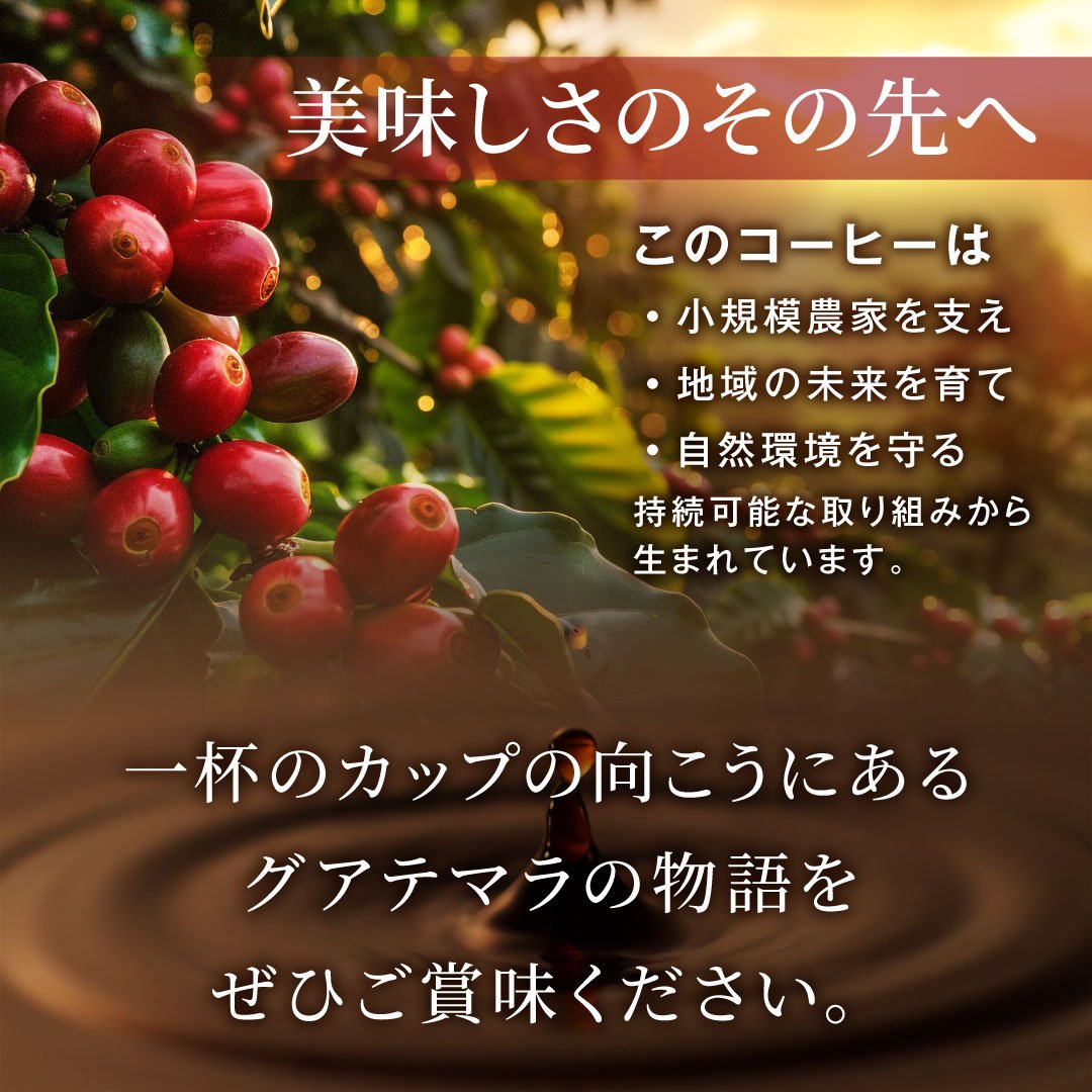 澤井珈琲 香り良くすっと飲める グアテマラ サステナブルコーヒー 200g×2袋 豆のまま