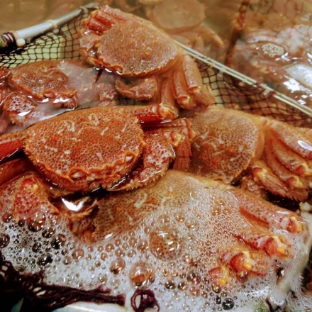 北海道産毛ガニ700ｇ（2杯）