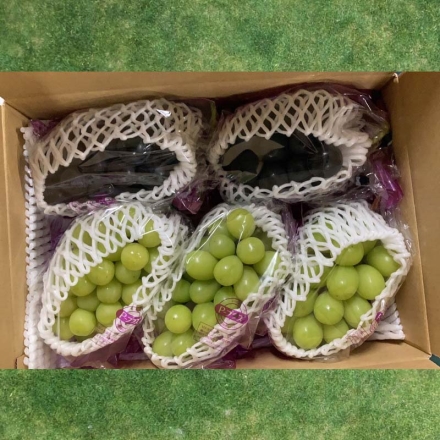 シャインマスカットとナガノパープル2.5ｋｇ