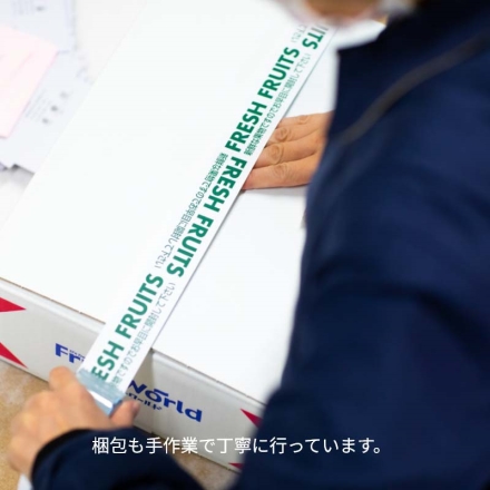 夏の果物9品詰合せ 送料込み