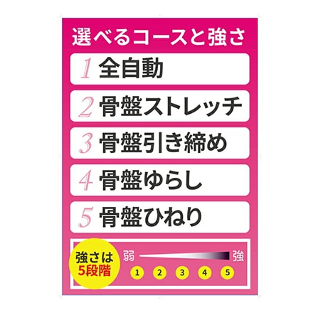 芦屋美整体 シェイプエアープレミアム ダークブラウン