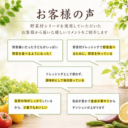 野菜村ドレッシング・調味料 100ｍｌ×14種