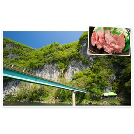 千屋牛A5ランク ステーキ 焼肉セット サイコロステーキ300ｇ & モモ肩焼肉用 300g