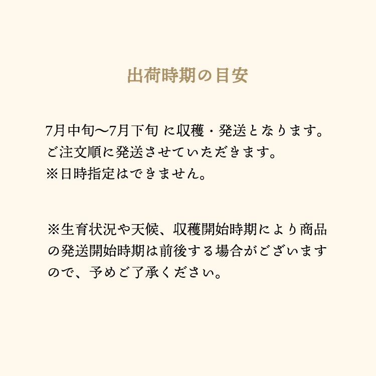 【7月中旬以降順次発送】清水白桃 贈答用 5-6玉入り 約1.5kg