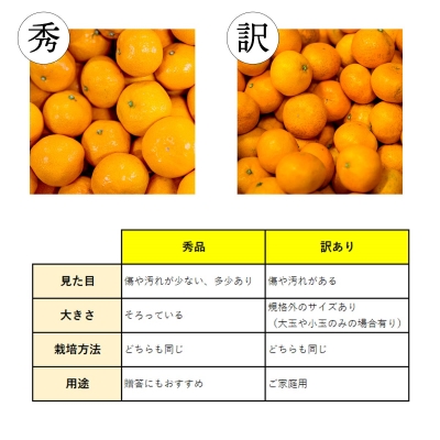 【2025年2月上旬頃より出荷予定】訳あり 愛媛産 甘平 2kg