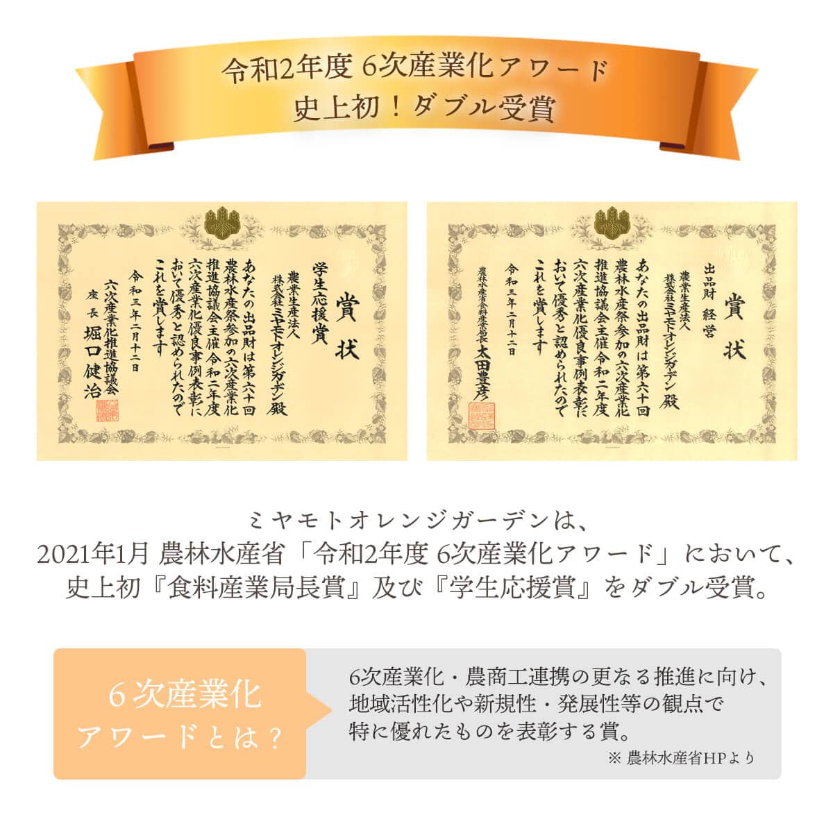 訳あり 愛媛みかん 小玉 5kg（3S～Sサイズ）50個から80個程度