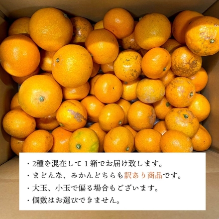 【11月下旬頃より順次出荷】 訳あり みかん まどんな 食べ比べ 詰め合わせセット