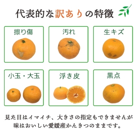 【2025年2月下旬頃より出荷予定】訳あり せとか 甘平 食べ比べセット 各1.5kg 計3kg