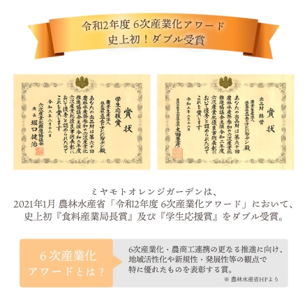 【11月下旬頃より順次出荷】愛媛限定栽培品種 まどんな 贈答箱入り2kg（6個～8個）