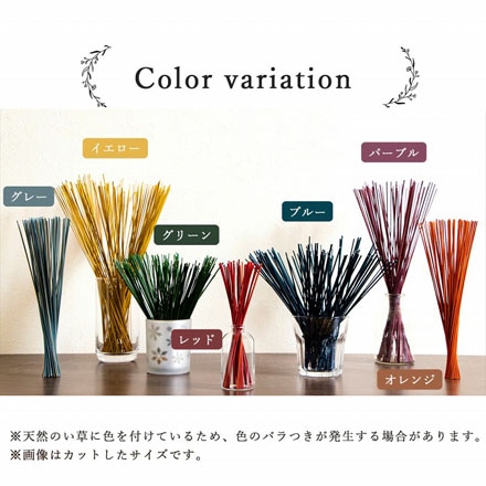 フレグラス 70cm 50g レッド