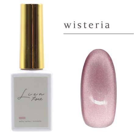 HNB LienFort マグネットネイル ジェルネイル Z074 wisteria