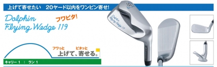 キャスコ ドルフィン DRW-119 DPW-119 DFW-119 ウェッジ Dolphin DP-201 カーボンシャフト DFW-119/55度/33インチ