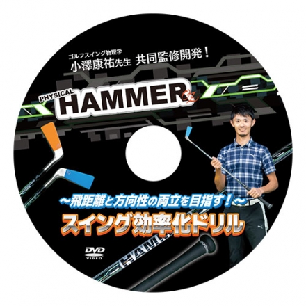 リンクス フィジカルハンマー 超重量 練習器具 PHYSICAL HAMMER 素振り スイング練習機 34.25インチ