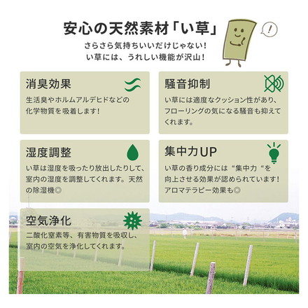 フリーカット裏付き い草カーペット 261×352cm みすず 江戸間6畳 補修テープ付き 防カビ はっ水
