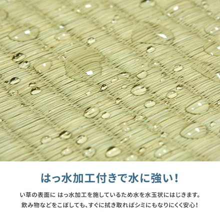 フリーカット 裏付き い草上敷き い草カーペット 255×340cm 団地間6畳 敷き詰めタイプ 上敷き 畳