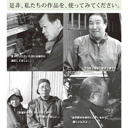 純国産 い草花ござカーペット 『ラビアンス』 ローズ 江戸間6畳(約261×352cm) ラビアンス