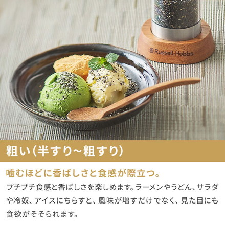 ラッセルホブス 充電式ゴマミル 7950JP 電動 ミル スタンド付き LEDライト USB充電 セラミック刃 シルバー ゴマすり器 すりごま 胡麻 Rechargeable Sesame Mill Russell Hobbs 正規販売店