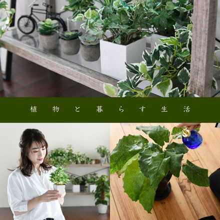 グリーンのある暮らし テレビ台 ガラス 古材 インテリア 40インチ シャビー ラック 一人暮らし