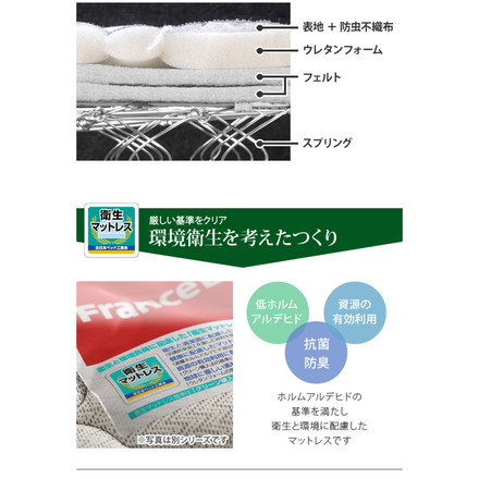 フランスベッド ツインサポートスプリングマットレス セミダブル 高密度連続スプリングマットレス 防ダニ 抗菌 防臭