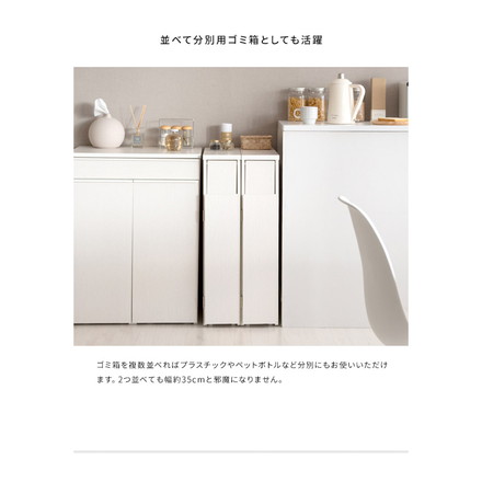 ゴミ箱 スリムダストボックス 幅17cm Santia サンティア プッシュ式 30リットル ワンプッシュ ホワイト