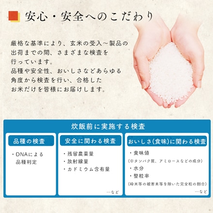 山形県産 アイリスの生鮮米 無洗米 つや姫 1.5kg（300g/2合×5袋入り）×4個
