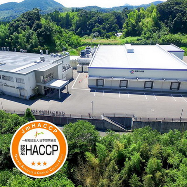訳あり鹿児島県産徳用うなぎ長蒲焼 140g×2尾
