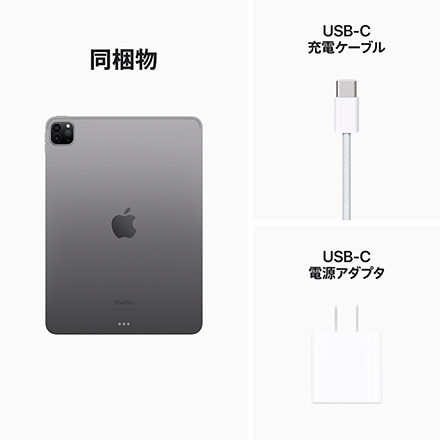 Apple 11インチ iPad Pro Wi-Fi 128GB - スペースグレイ｜永久不滅 ...