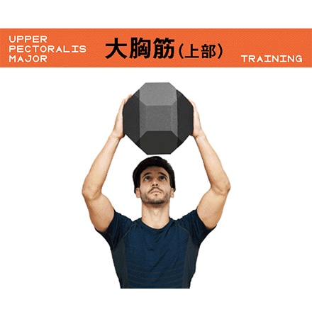 Core squeeze 体幹トレーニング器具 腹筋トレーニング パーソナルトレーナー考案