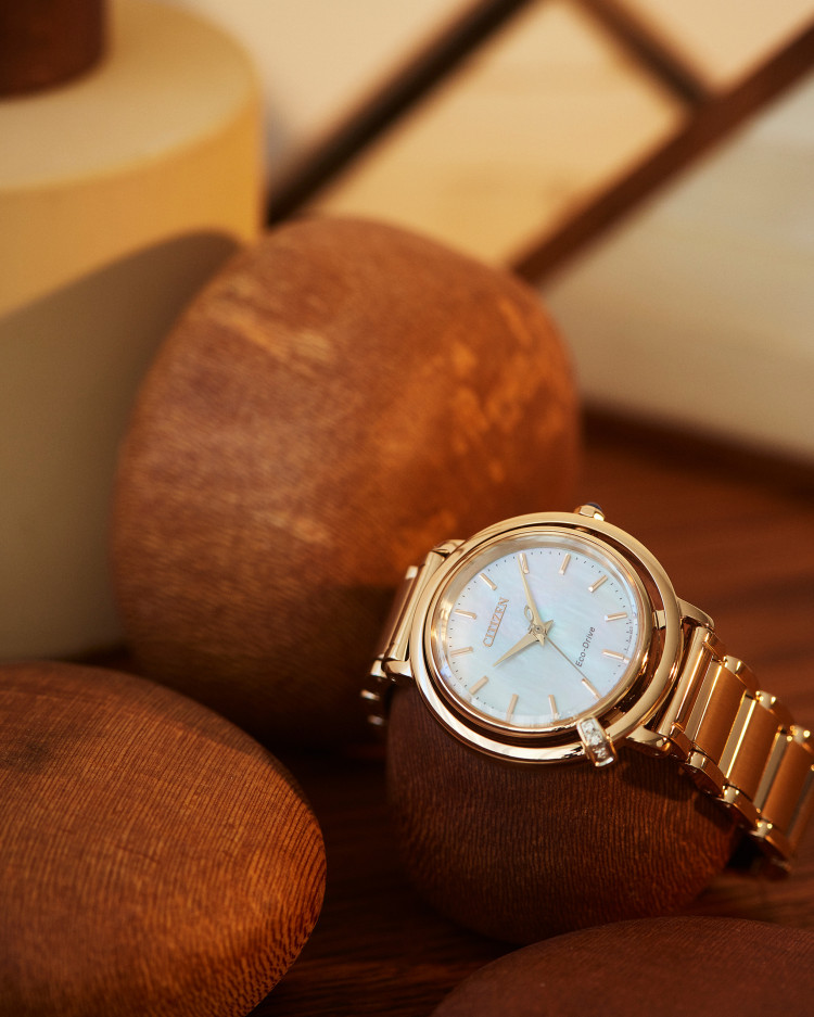 CITIZEN シチズン L エル ARCLY Collection アークリーコレクション EM1093-61D レディース 腕時計 光発電 エコドライブ 替えバンド付き サファイアガラス ステンレス 日常生活用防水