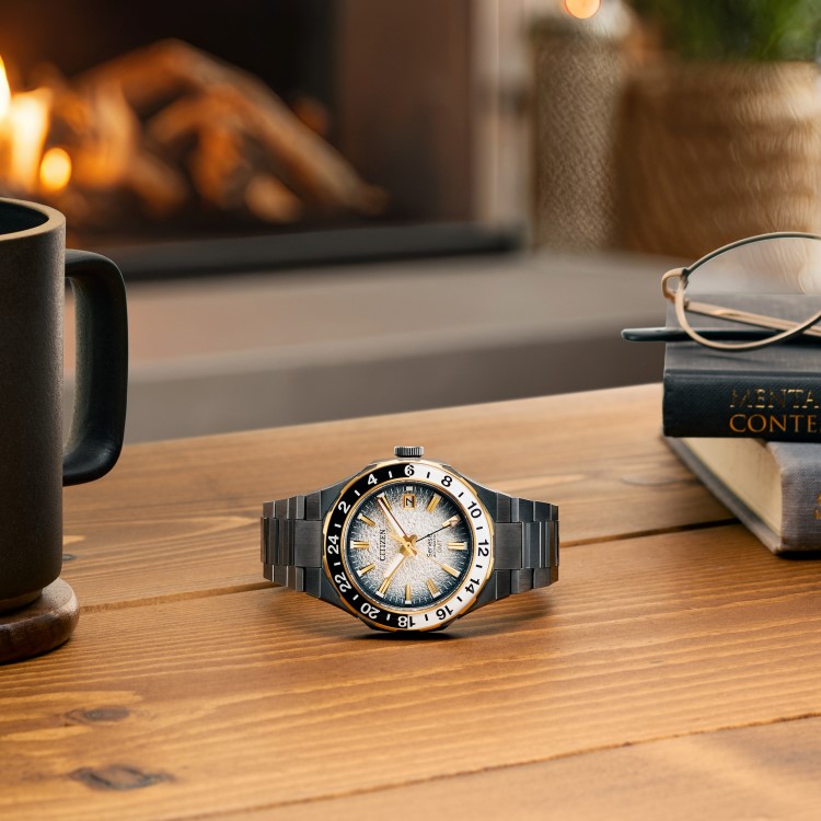 CITIZEN シチズン Series 8 シリーズエイト 880 Mechanical NB6035-55H メンズ 腕時計 機械式 自動巻き 手巻き GMT機能 10気圧防水 サファイアガラス ステンレス シースルーバック 世界限定1600本